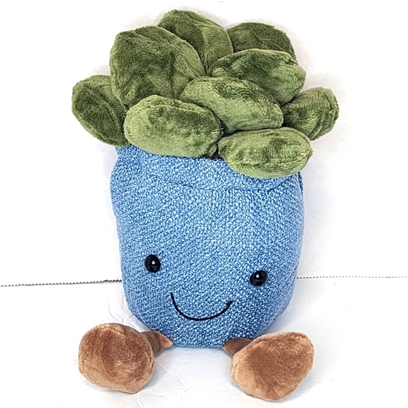 SMILEY 🪴 Adorable Succulents in Smiley Face Planter - Your Choice of One - Picture 5 of 6